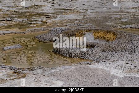 Geyser bolle d'acqua bollente. Geyser attivo con eruzioni maggiori. Yellowstone NP, Wyoming, USA Foto Stock