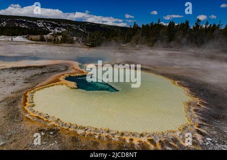 Geyser bolle d'acqua bollente. Geyser attivo con eruzioni maggiori. Yellowstone NP, Wyoming, USA Foto Stock