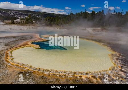 Geyser bolle d'acqua bollente. Geyser attivo con eruzioni maggiori. Yellowstone NP, Wyoming, USA Foto Stock