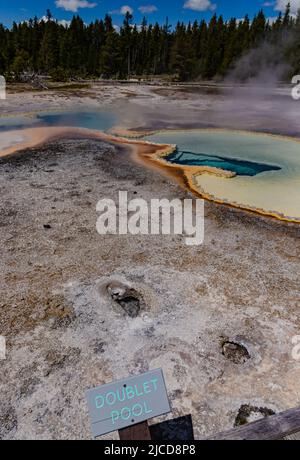 Geyser bolle d'acqua bollente. Geyser attivo con eruzioni maggiori. Yellowstone NP, Wyoming, USA Foto Stock