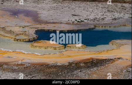 Geyser bolle d'acqua bollente. Geyser attivo con eruzioni maggiori. Yellowstone NP, Wyoming, USA Foto Stock