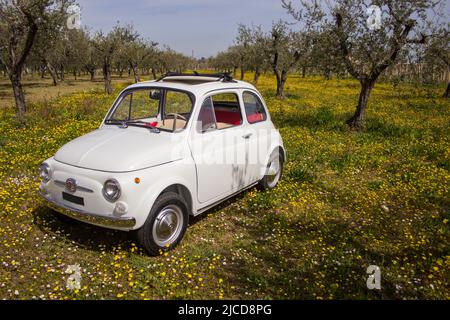 Immagine di una vecchia Fiat 500 italiana parcheggiata in campagna in un campo fiorito. Foto Stock