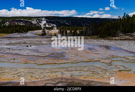 Geyser bolle d'acqua bollente. Geyser attivo con eruzioni maggiori. Yellowstone NP, Wyoming, USA Foto Stock