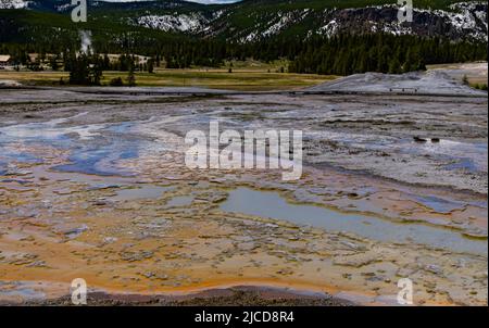 Geyser bolle d'acqua bollente. Geyser attivo con eruzioni maggiori. Yellowstone NP, Wyoming, USA Foto Stock