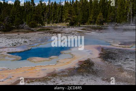 Geyser bolle d'acqua bollente. Geyser attivo con eruzioni maggiori. Yellowstone NP, Wyoming, USA Foto Stock