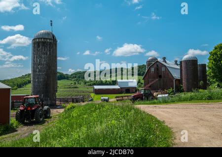 Coltivazioni affollate in un'azienda agricola con i trattori fuori e fienili aperti con file di raccolto in un campo già germogliato sullo sfondo in una giornata di sole Foto Stock