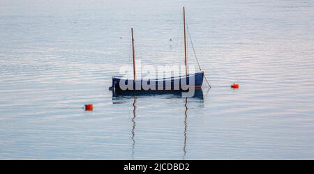 Barca a Aber Dyfi Wales Foto Stock