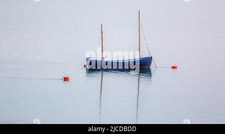 Barca a Aber Dyfi Wales Foto Stock