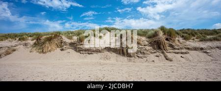 Le dune sabbiose di Aber Dyfi Beach Foto Stock