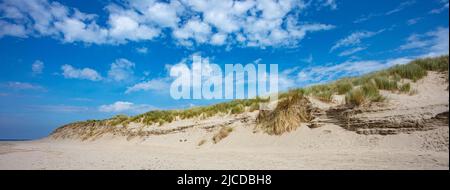 Le dune sabbiose di Aber Dyfi Beach Foto Stock