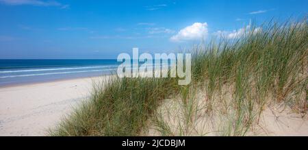 Le dune sabbiose di Aber Dyfi Beach Foto Stock