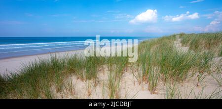 Le dune sabbiose di Aber Dyfi Beach Foto Stock