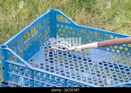 Scatola blu vuota in plastica nel giardino per piante o raccolto. In una giornata di sole all'inizio della primavera. Concetto di giardinaggio. Raccolta di raccolto domestico e storag Foto Stock