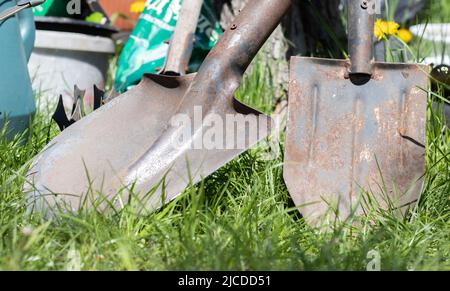 Attrezzi di giardinaggio. Attrezzi da giardino sullo sfondo di un giardino in erba verde. Attrezzatura estiva. Due pale accatastate nel giardino esterno. Il concetto o Foto Stock