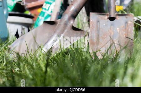 Attrezzi di giardinaggio. Attrezzi da giardino sullo sfondo di un giardino in erba verde. Attrezzatura estiva. Due pale accatastate nel giardino esterno. Il concetto o Foto Stock