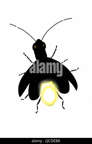 carino cartoon mascotte lucciola-stella illustrazione disegno, colorazione Foto Stock