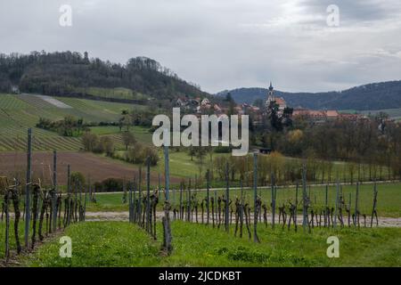 Vista dalla collina con vigneto in primo piano alla città Castell in Baviera con la chiesa Johannes sullo sfondo. Foto Stock