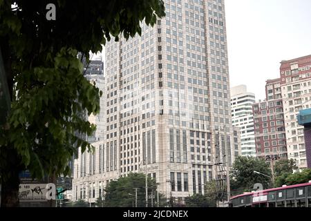 Albero e torre finanziaria nella città di Bangkok Foto Stock