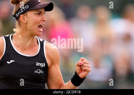 12th giugno 2022; Nottingham Tennis Center, Nottingham, Inghilterra: Rothesay Open Nottingham Lawn Tennis torneo; Beatriz Haddad Maia (bra) festeggia dopo che ha fatto pause contro Alison Riske (usa) nella finale di donna&#x2019;s singles Foto Stock