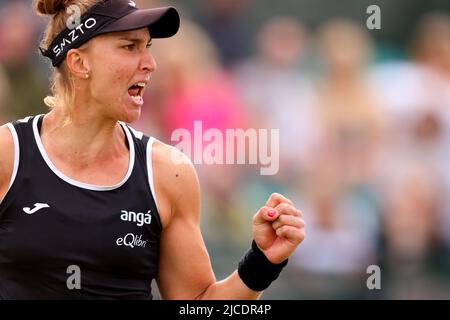 Nottingham Tennis Center, Nottingham, Inghilterra: 12th giugno 2022; Rothesay Open Nottingham Lawn Tennis torneo; Beatriz Haddad Maia (bra) festeggia dopo che lei ha fatto delle pause contro Alison Riske (usa) nella finale del singolo della donna Foto Stock