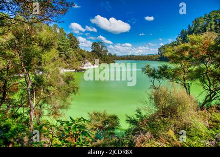 Lago Ngakoro meravigliosi colori in primavera, Waiotapu Thermal Wonderland, Nuova Zelanda. Foto Stock