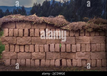 I mattoni sono fatti di argilla rossa mescolata con paglia, molto come mattoni di adobe. Usato per costruire case. Foto Stock