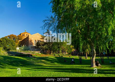 Los Angeles, FEB 11 2015 - Sunny view of the Powell Library of UCLA Foto Stock