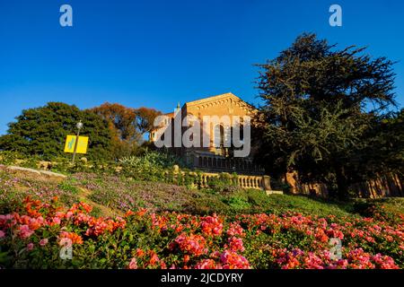Los Angeles, FEB 11 2015 - Sunny view of the Powell Library of UCLA Foto Stock