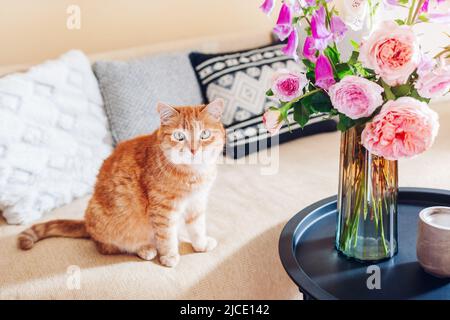 Gatto zenzero seduto sul divano in soggiorno da bouquet di rose fresche e fiori di foxguanto. Gli animali domestici sono comodi e accoglienti Foto Stock