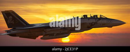 Il leggendario Grumman F-14 Tomcat, uno dei combattenti più famosi al mondo Foto Stock