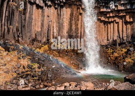 Potenti cascate di Svartifoss in mezzo alla formazione di colonne basaltiche nel parco nazionale Foto Stock