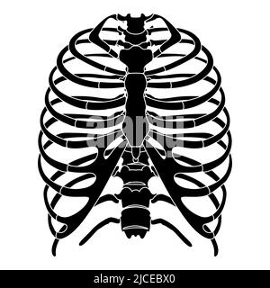 Scheletro umano Rib gabbia silhouette corpo ossa - sterno, torace, vertebra toracica, sterno, vista anteriore anteriore anteriore anteriore piatto nero concetto vettoriale illustrazione di anatomia isolata su sfondo bianco Illustrazione Vettoriale