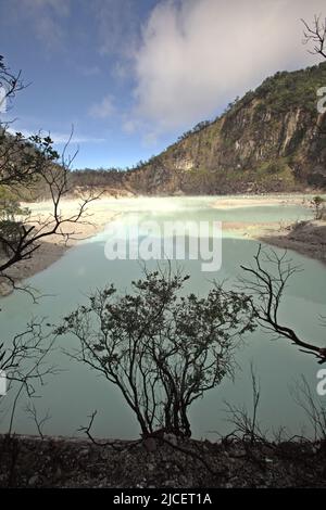 Lago cratere del Monte Patuha, che è popolarmente noto come Kawah Putih (cratere bianco) in Ciwidey, Bandung, Giava occidentale, Indonesia. Foto Stock