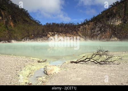 Lago cratere del Monte Patuha, che è popolarmente noto come Kawah Putih (cratere bianco) in Ciwidey, Bandung, Giava occidentale, Indonesia. Foto Stock