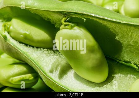 Sia i baccelli di fagiolo larghi che i semi sgranati. Fagioli crudi biologici verdi sani. Foto Stock