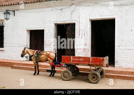 Vista laterale di una carrozza di cavallo di fronte ad un ingresso casa a Santa Cruz de Mompox, Colombia, Patrimonio dell'Umanità Foto Stock