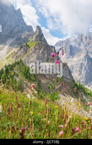 Bellissimo giglio martagone fiore in un bellissimo paesaggio alpino Foto Stock