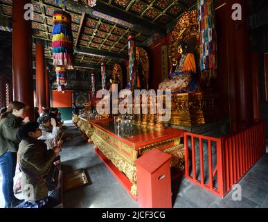 Pellegrini che pregano presso il bellissimo Tempio lama di Pechino, Cina. Foto Stock