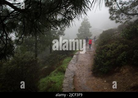 Gruppo di escursionisti che camminano su un sentiero bagnato sotto fitta nebbia nel parco naturale Ruque Nublo, Isole Canarie. Persone trekking in condizioni meteorologiche avverse Foto Stock