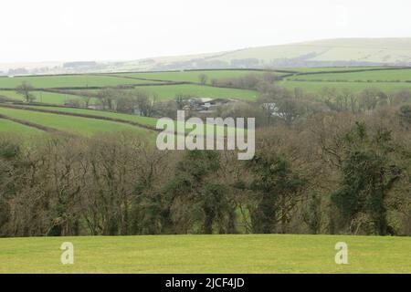 Fattoria e campo da golf ai margini del Parco Nazionale Dartmoor con alberi e campi Foto Stock