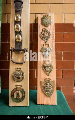 Horse Brasses in mostra presso l'Open Farm Domenica 10th Giugno 2022 presso la Cappleside Farm, Rathmell, Yorkshire (mostra l'agricoltura britannica). Foto Stock