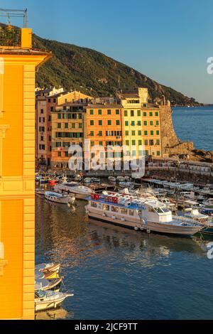 Porto di Camogli, Rivera di Levante, Provincia di Genova, Liguria, Italia Foto Stock