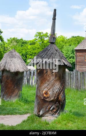 Alveari antichi nel campo. Simbolo ucraino Foto Stock