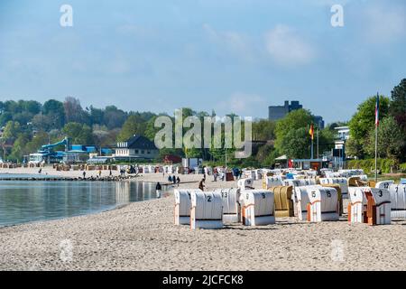 Germania, Schleswig-Holstein, Eckernförde, spiaggia della città, sedie da spiaggia Foto Stock