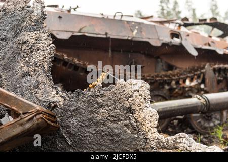 Carri armati sulla strada poco prima Borodianka Foto Stock