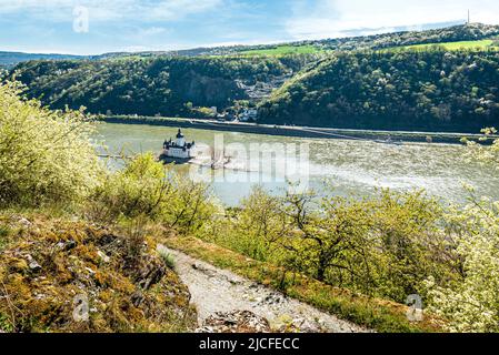 Vista panoramica sulla valle del Reno vicino a Kaub (Medio Reno) lungo il sentiero escursionistico Rheinsteig, nel mezzo del fiume l'ex castello doganale Pfalzgrafenstein Foto Stock