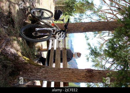 Giovane donna in mountain bike sul fiume Isar vicino a Krün, REST, Germania, Baviera, alta Baviera, Valle Isar, bicicletta, Foto Stock