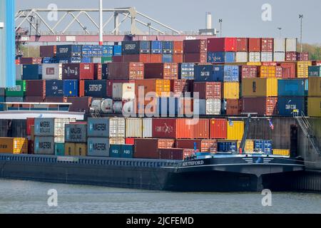 Duisburg, Renania settentrionale-Vestfalia, Germania - Porto di Duisburg, navi da carico con container presso il terminal dei container nel porto dei container, porto a nord nel distretto di Duisburg Ruhrort. Foto Stock