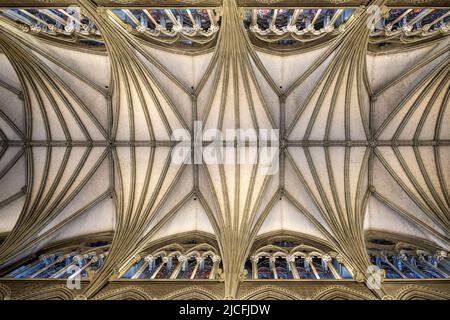 Norvegia, Trøndelag, Trondheim, Cattedrale di Nidaros, navata gotica, volta nervata. Solo per uso editoriale. Foto Stock