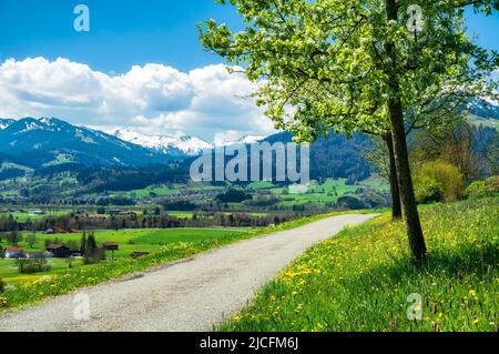 Primavera nel Allgäu. Vista sulla valle Illertal vicino a Sonthofen con prati verdi, foreste e montagne innevate. Baviera, Germania, Europa Foto Stock